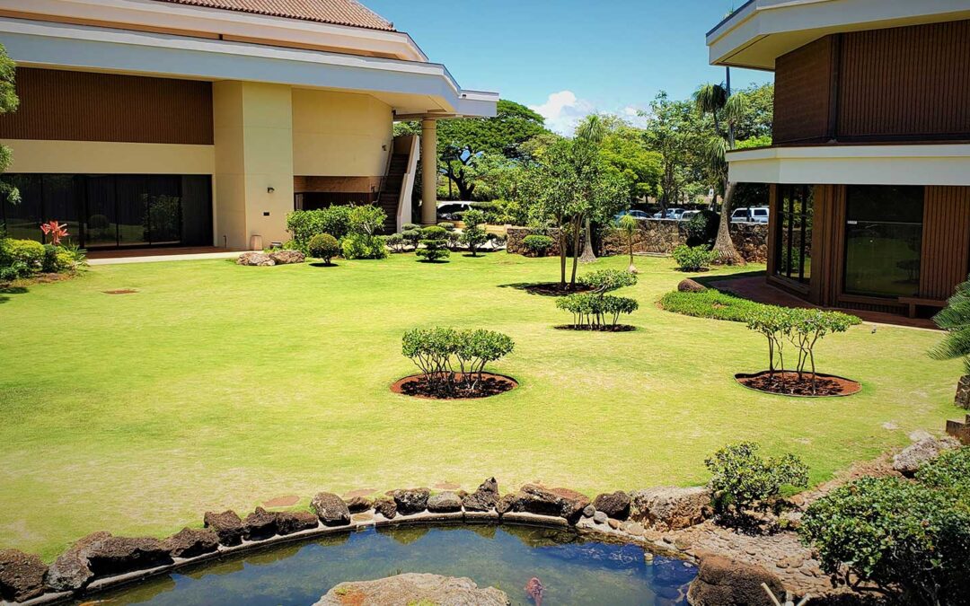 Hawaii United Okinawa Association