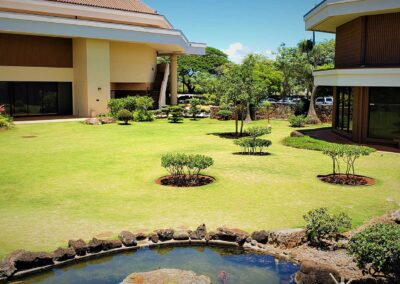 Hawaii United Okinawa Association